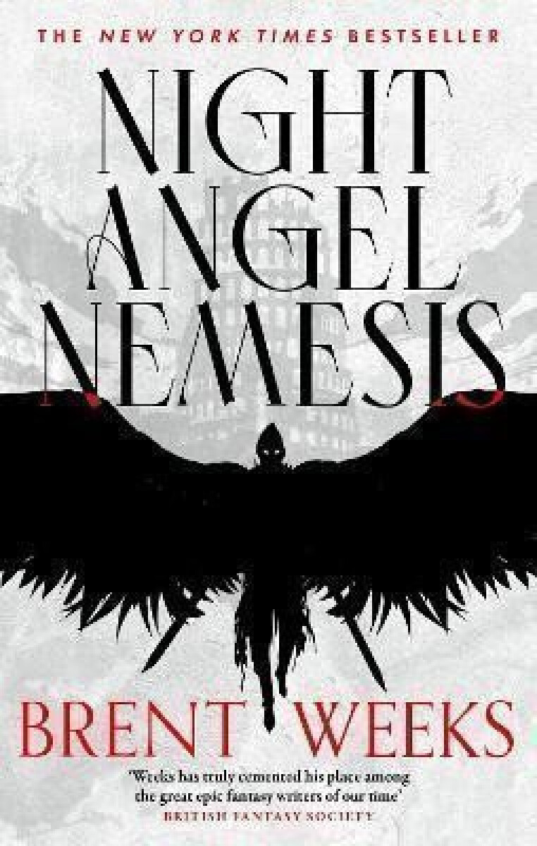 Kniha Night Angel Nemesis