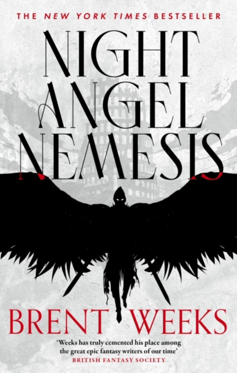 Kniha Night Angel Nemesis