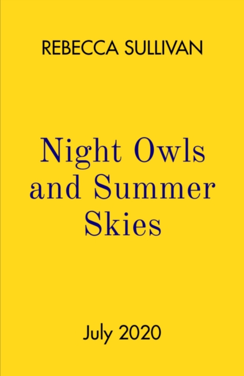 Kniha Night Owls and Summer Skies