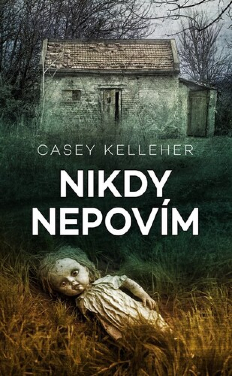 Kniha Nikdy nepovím