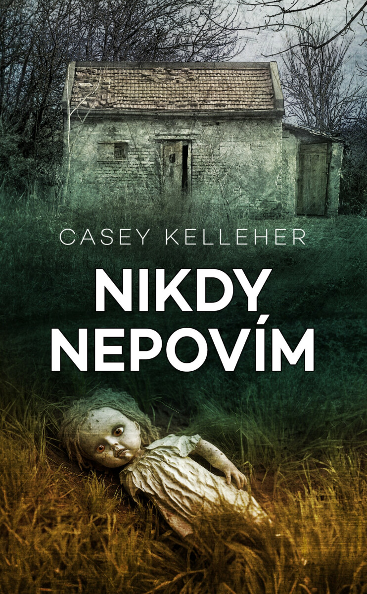 Nikdy nepovím - Casey Kelleher