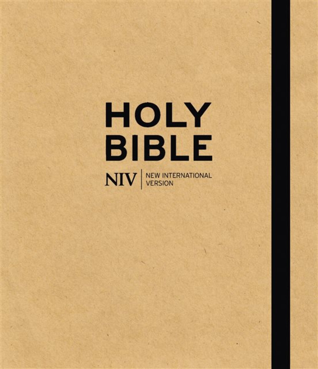 Kniha NIV Art Bible