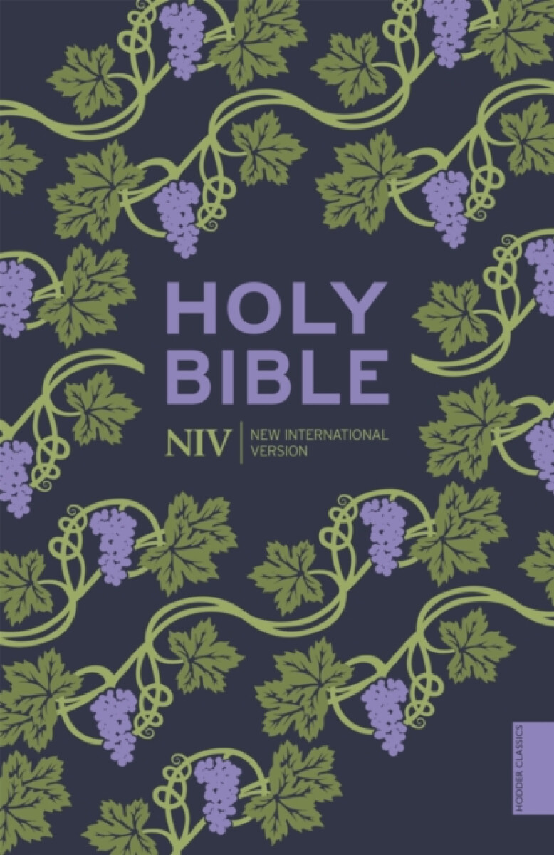 Kniha NIV Holy Bible (Hodder Classics)