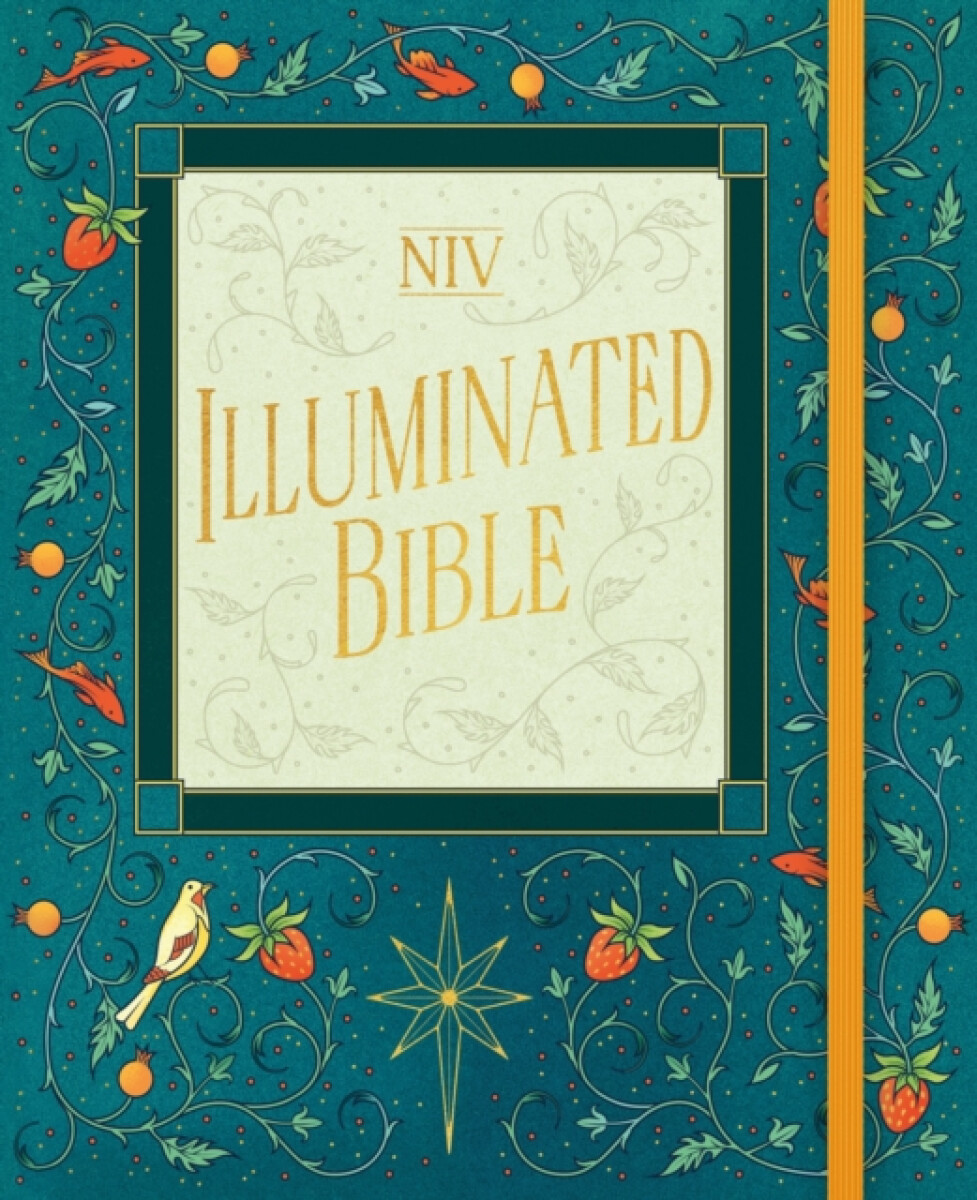 Kniha NIV Illuminated Bible