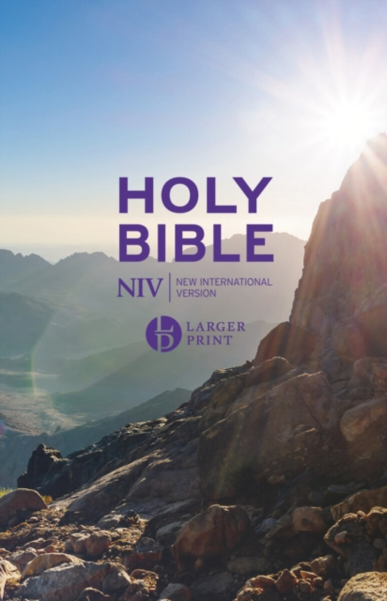 Kniha NIV Larger Print Personal Value Hardback Bible