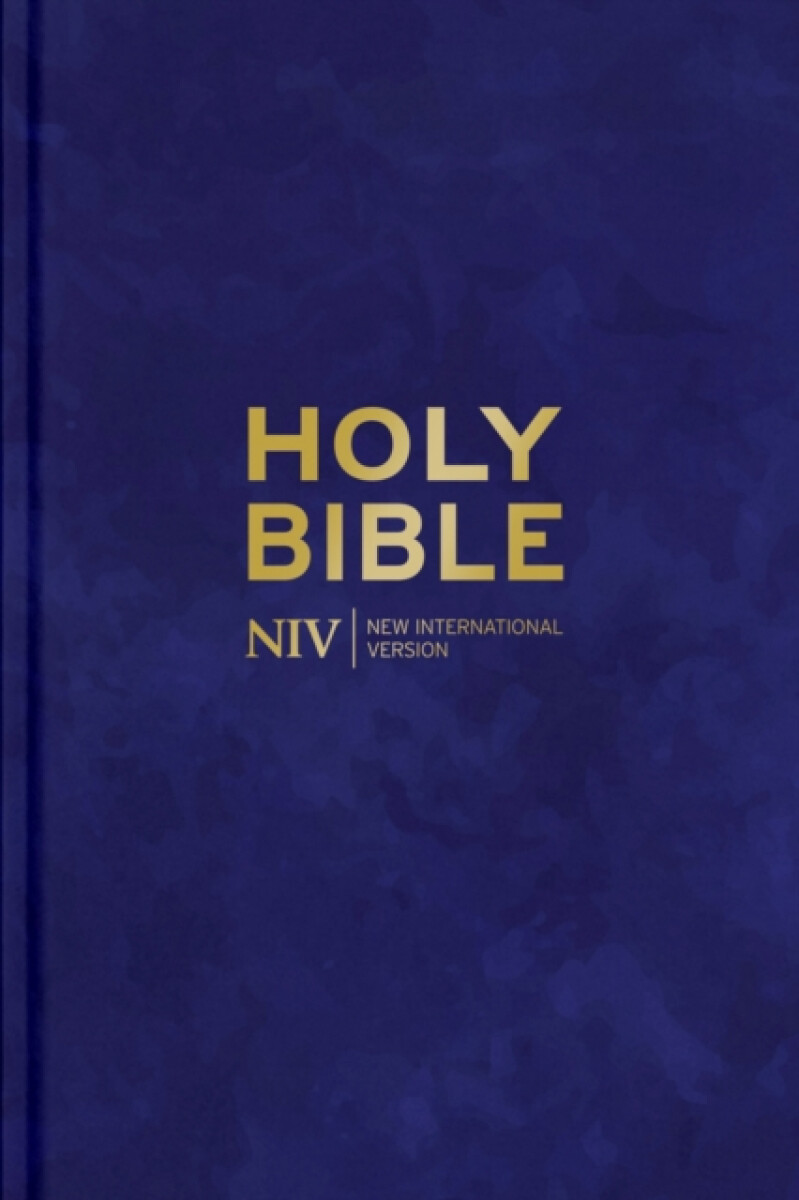 Kniha NIV Larger Print Personal Velvet Bible