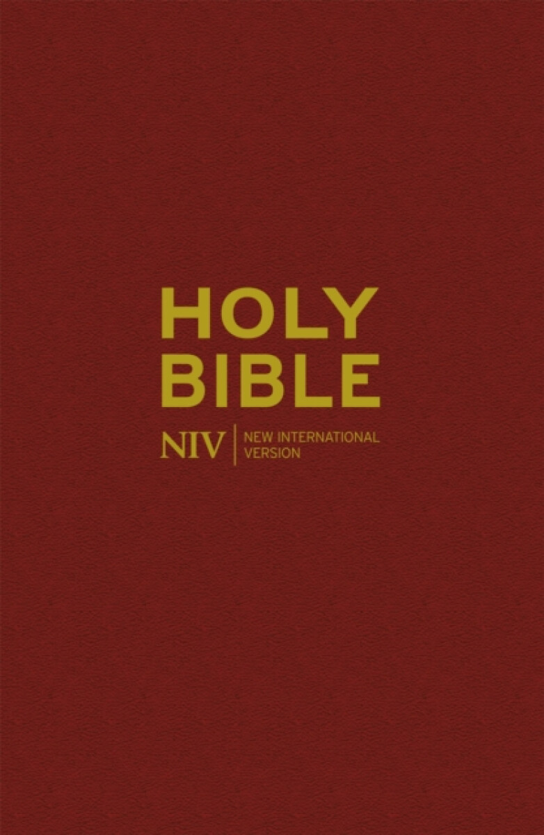 Kniha NIV Popular Burgundy Hardback Bible