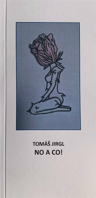 Kniha No a co!