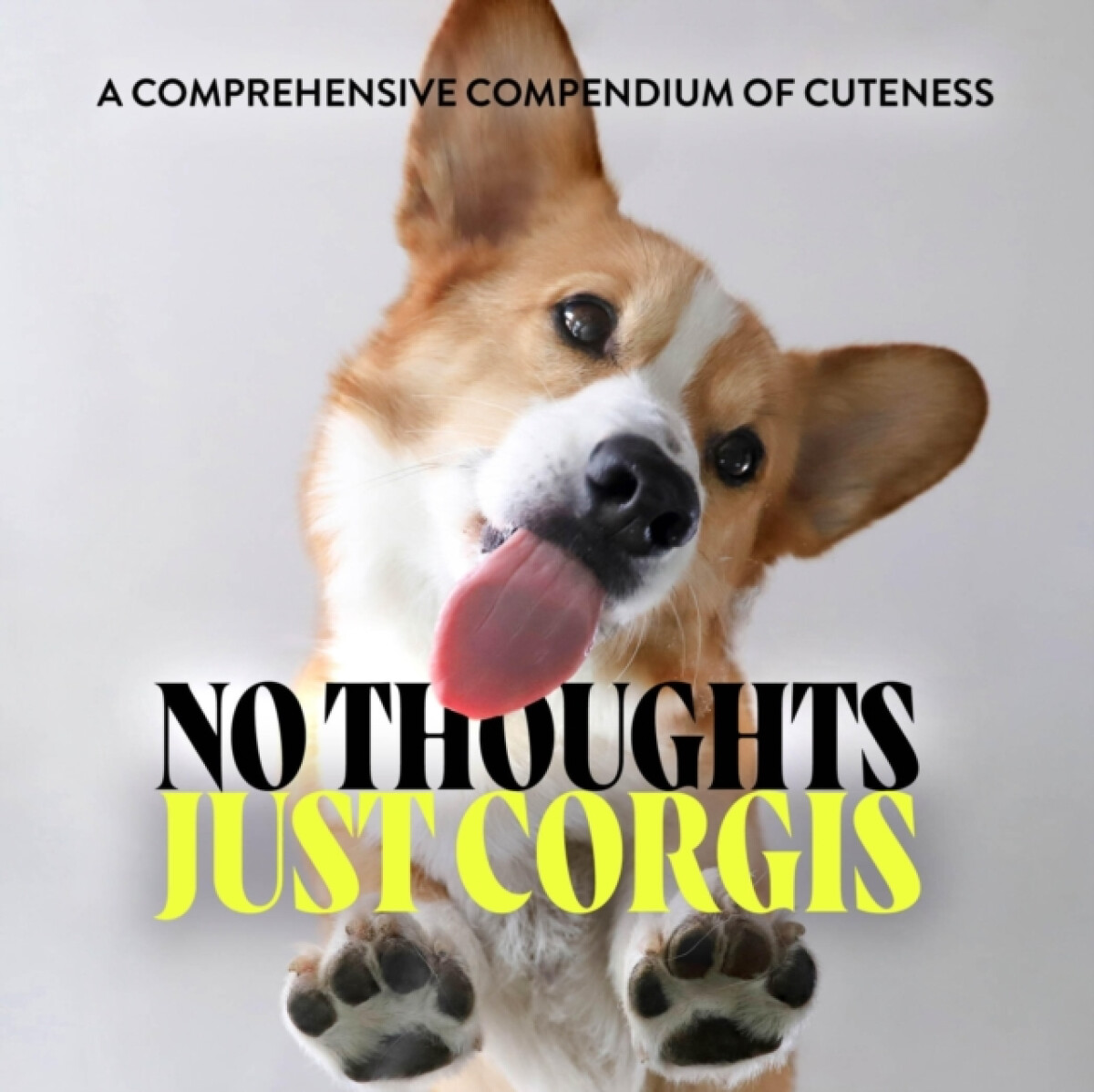 Kniha No Thoughts Just Corgis