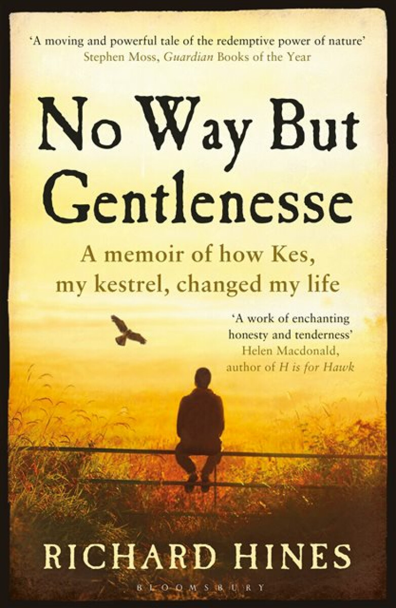 Kniha No Way But Gentlenesse