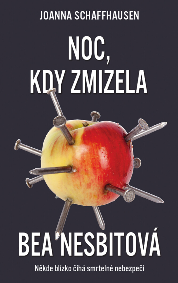 Noc, kdy zmizela Bea Nesbittová - Joanna Schaffhausen