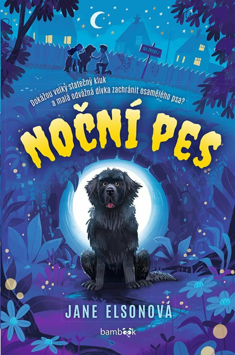 Kniha Noční pes