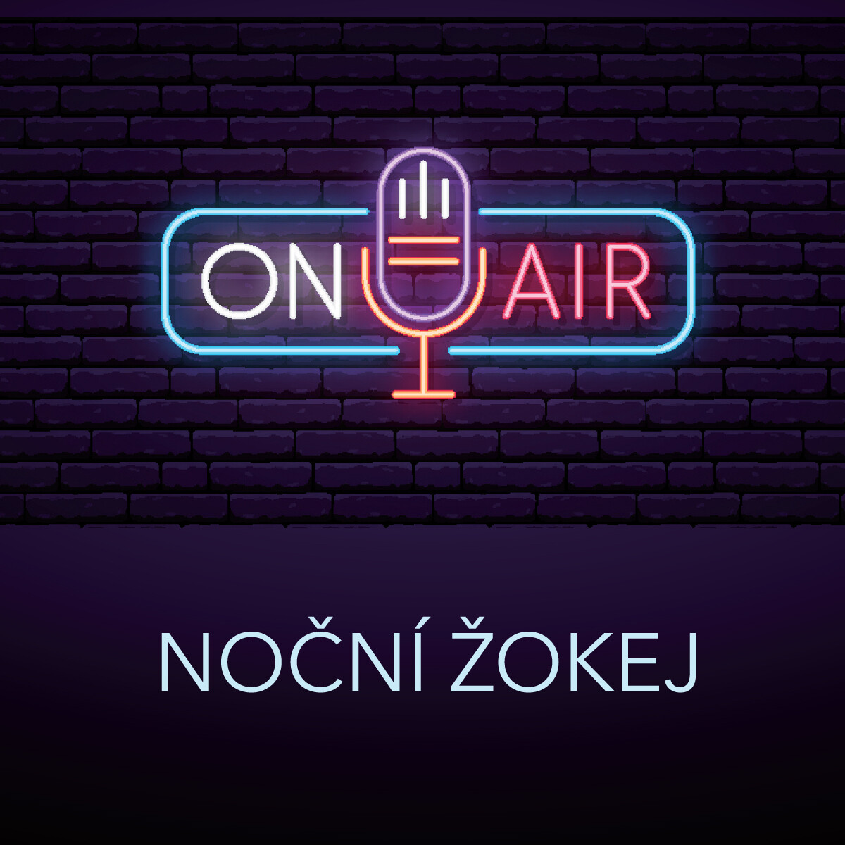 Noční žokej - Antonín Přidal