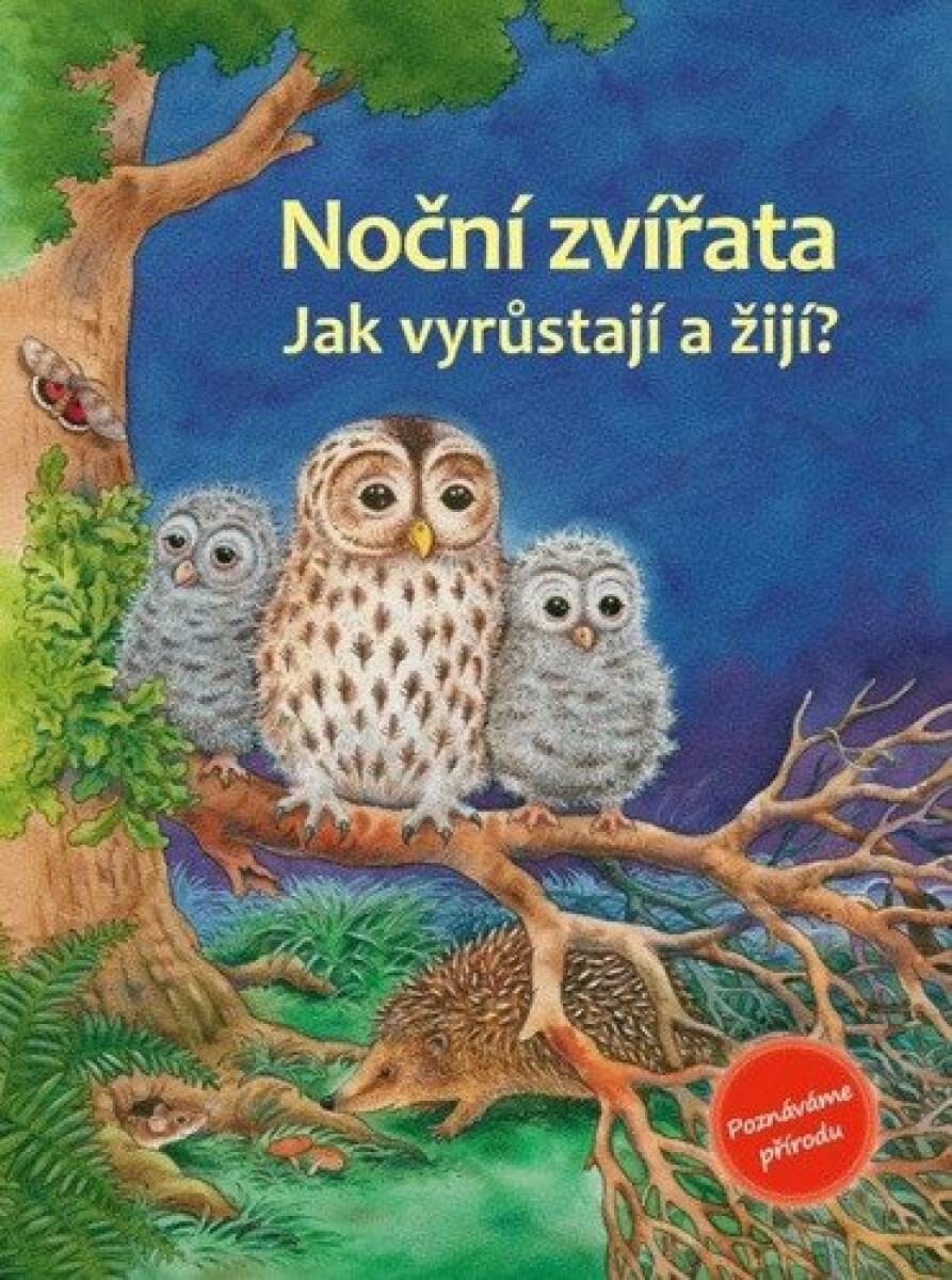Kniha Noční zvířata