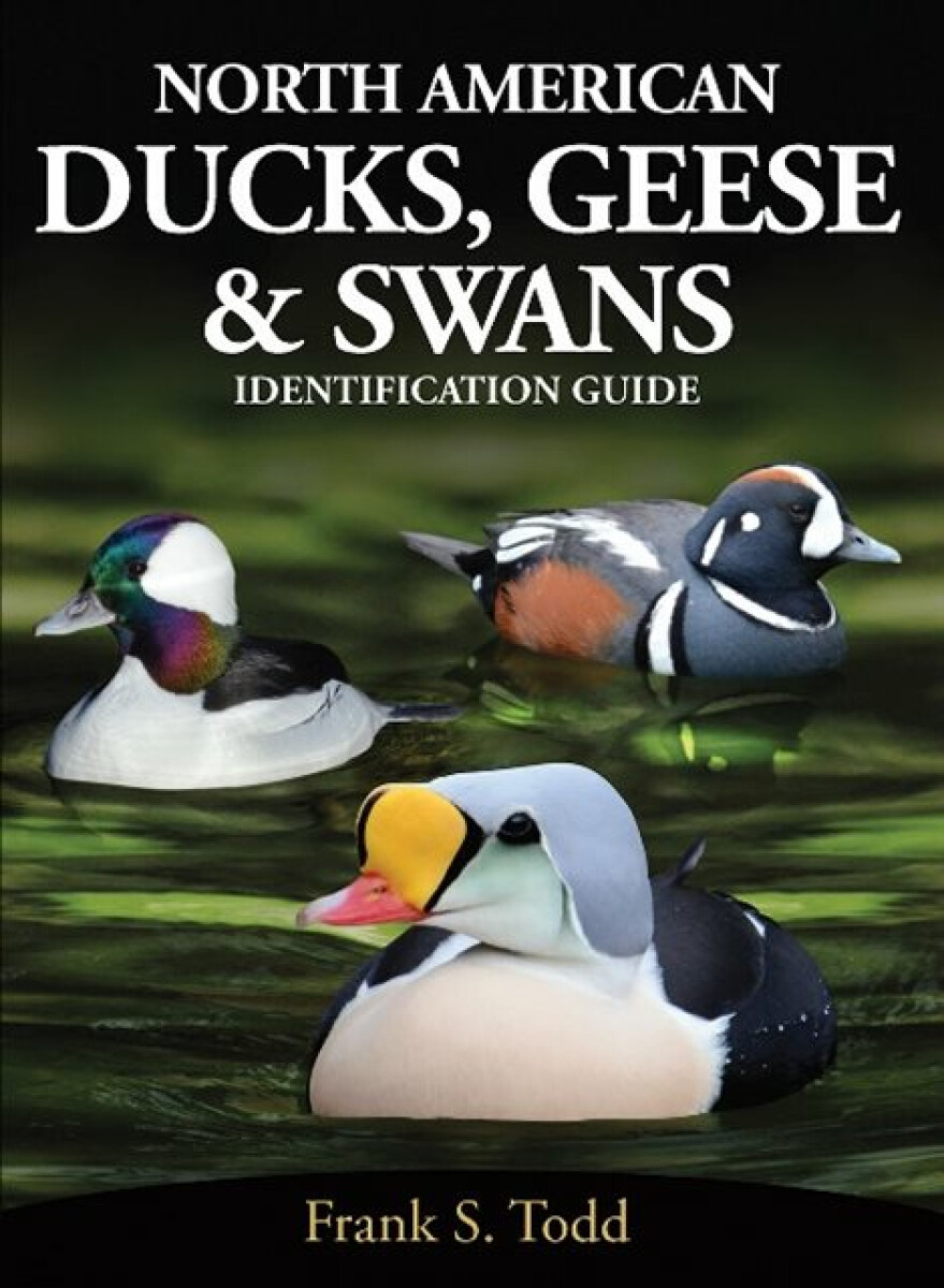 North American Ducks, Geese and Swans - Frank Todd