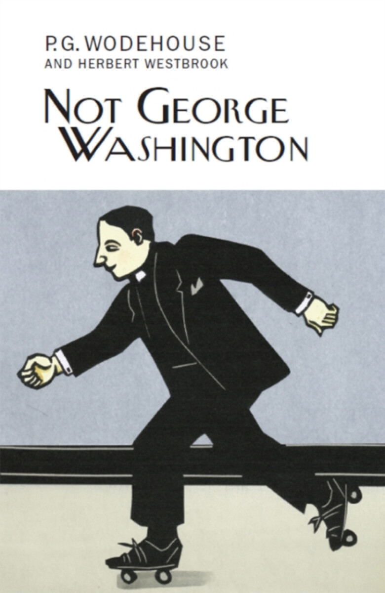 Kniha Not George Washington