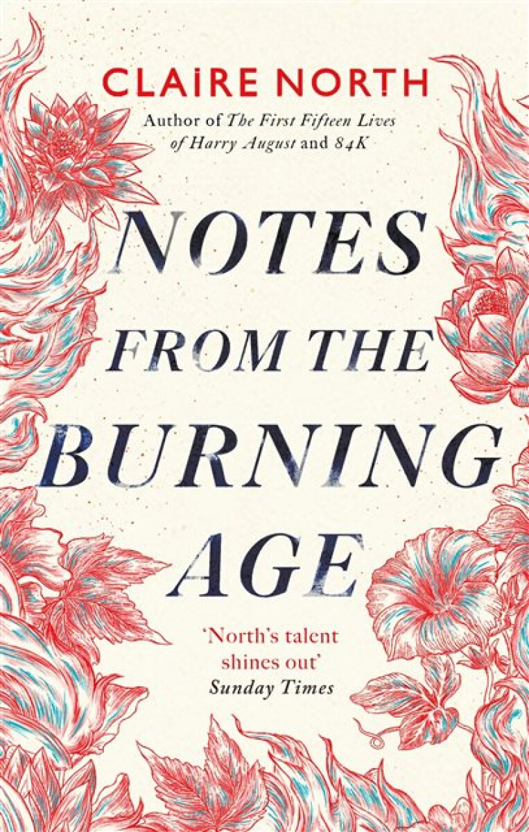 Kniha Notes from the Burning Age