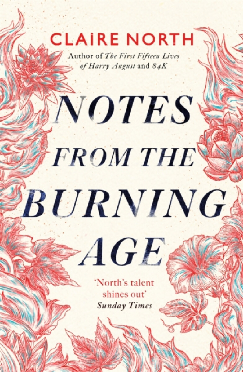 Kniha Notes from the Burning Age