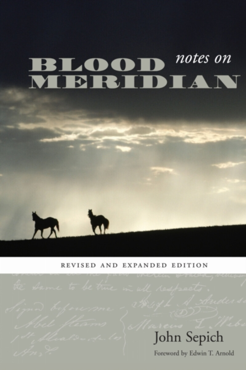 Kniha Notes on Blood Meridian