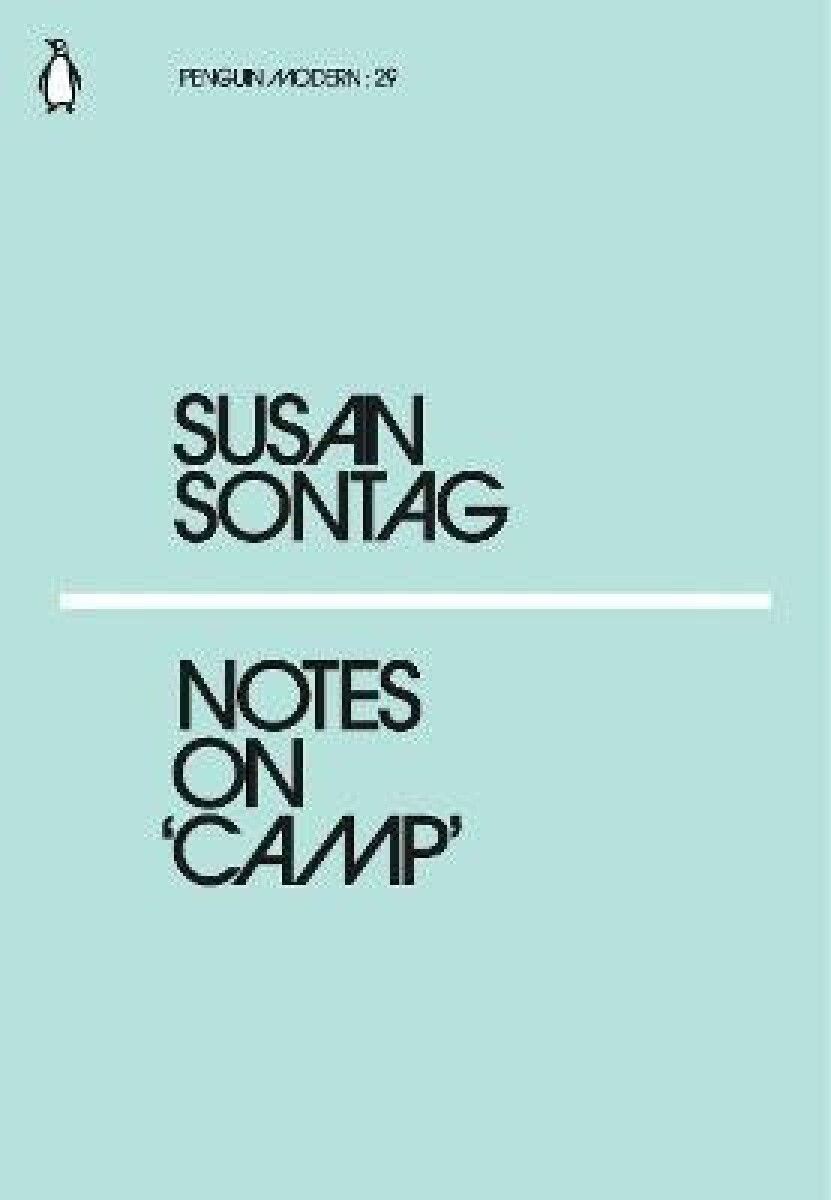 Kniha Notes on Camp