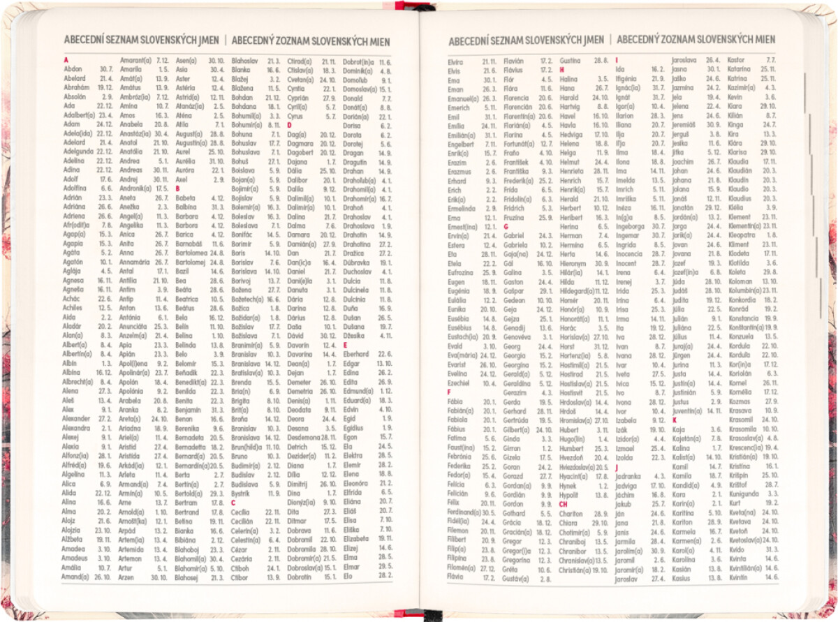 Diář 18měsíční 2026/2027 Petito – Japonsko, 11 x 16 cm