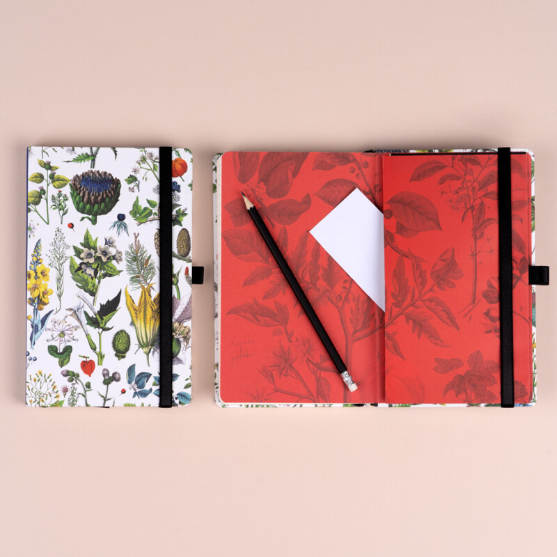 Notes Bylinky Kateřiny Winterové, tečkovaný - Kateřina Winterová (obrázek 5)