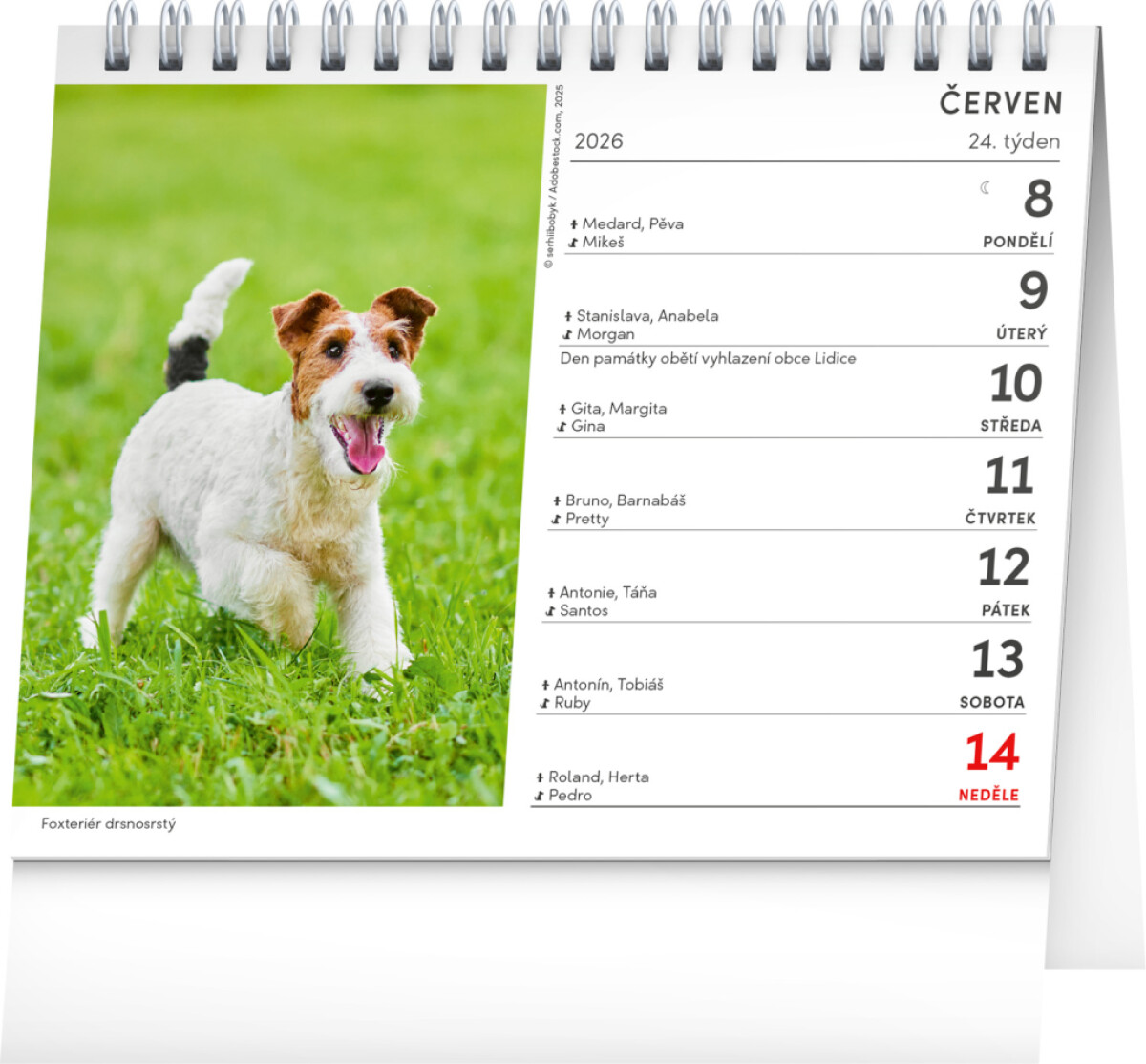 Kalendář 2026 stolní: Psi – se jmény psů, 16,5 x 13 cm