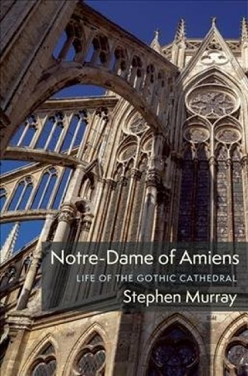 Kniha Notre-Dame of Amiens