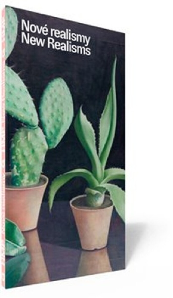 Kniha Nové realismy