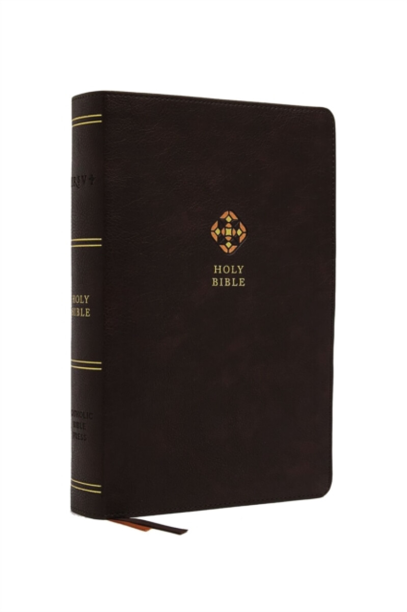 Kniha NRSV, Catholic Bible, Journal Edition, Leathersoft, Brown, Comfort Print