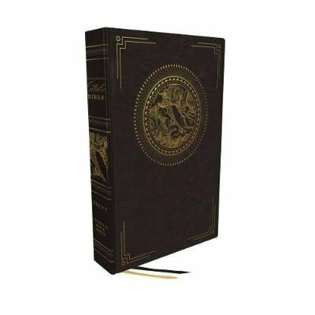 Kniha NRSVCE, Illustrated Catholic Bible, Leathersoft, Black, Comfort Print