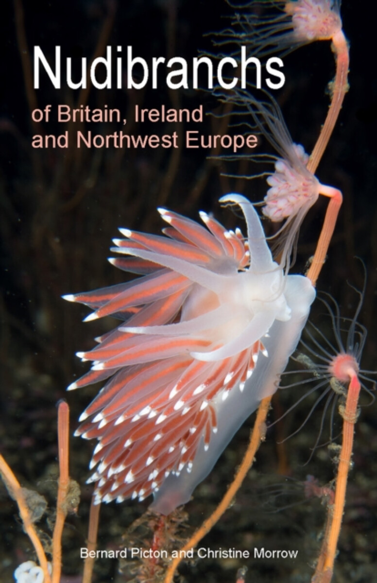 Kniha Nudibranchs of Britain, Ireland and Northwest Europe