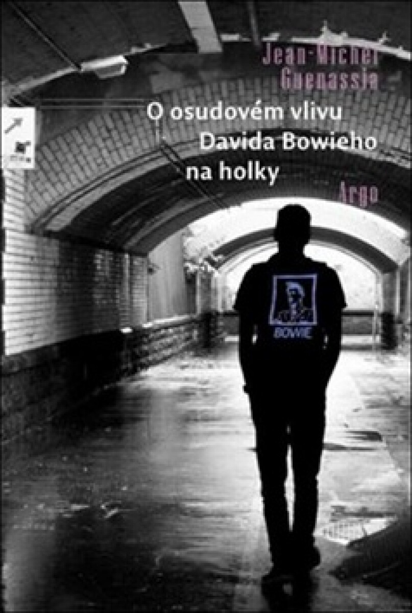 Kniha O osudovém vlivu Davida Bowieho na holky