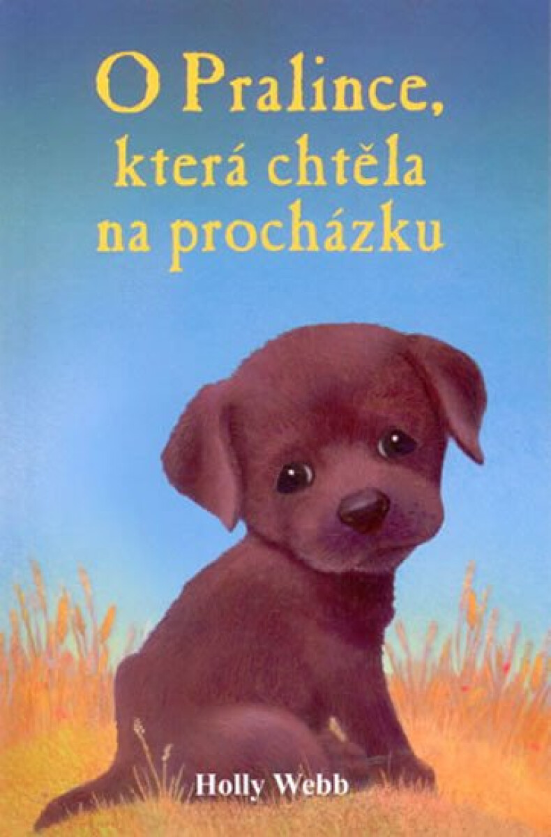 Kniha O pralince, která chtěla na procházku