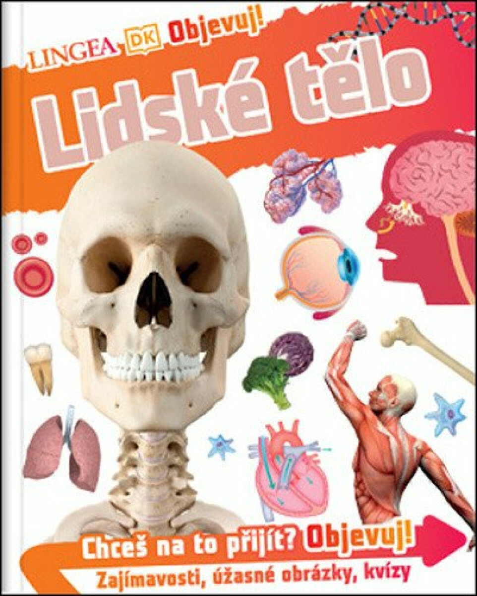 Kniha Objevuj! Lidské tělo