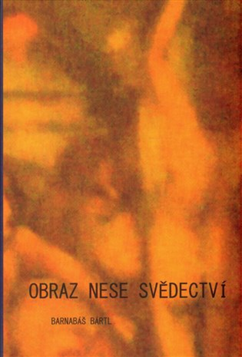 Kniha Obraz nese svědectví