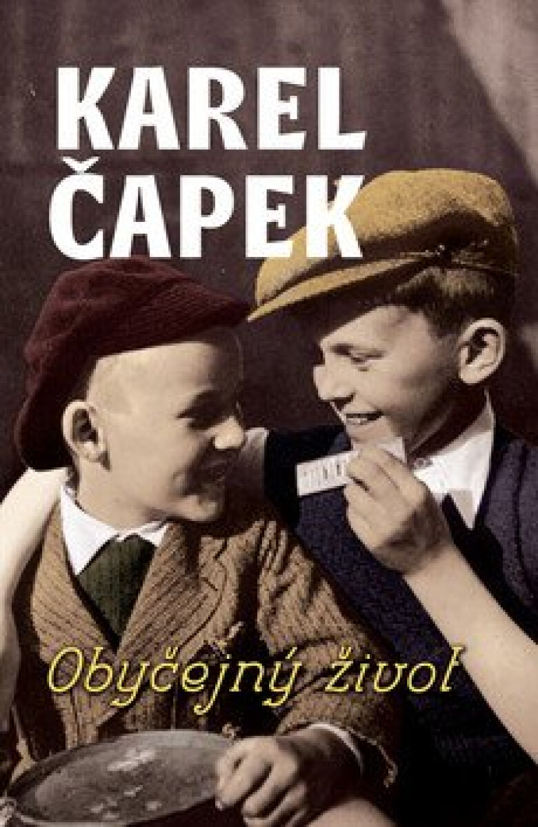 Kniha Obyčejný život
