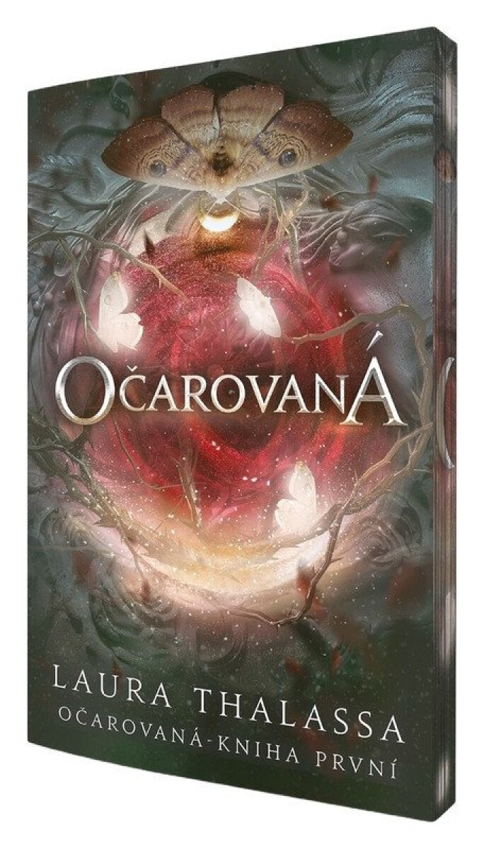 Kniha Očarovaná