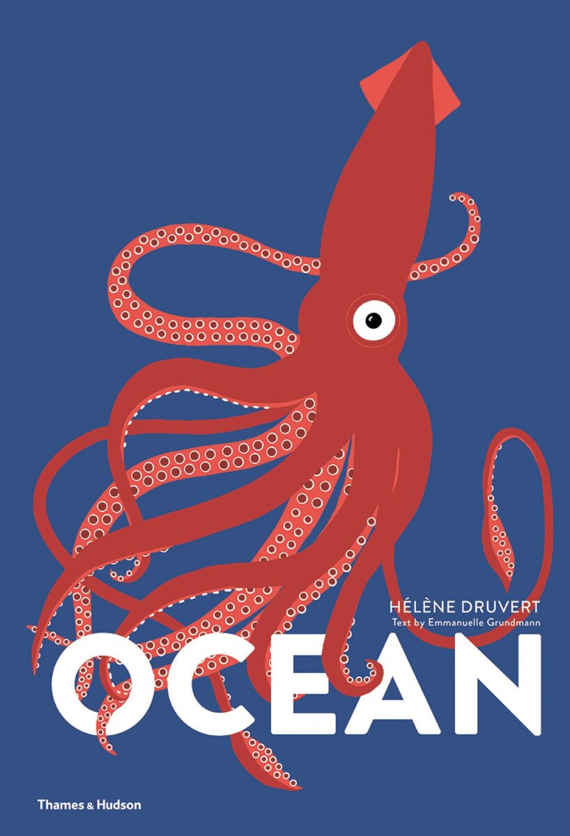 Kniha Ocean
