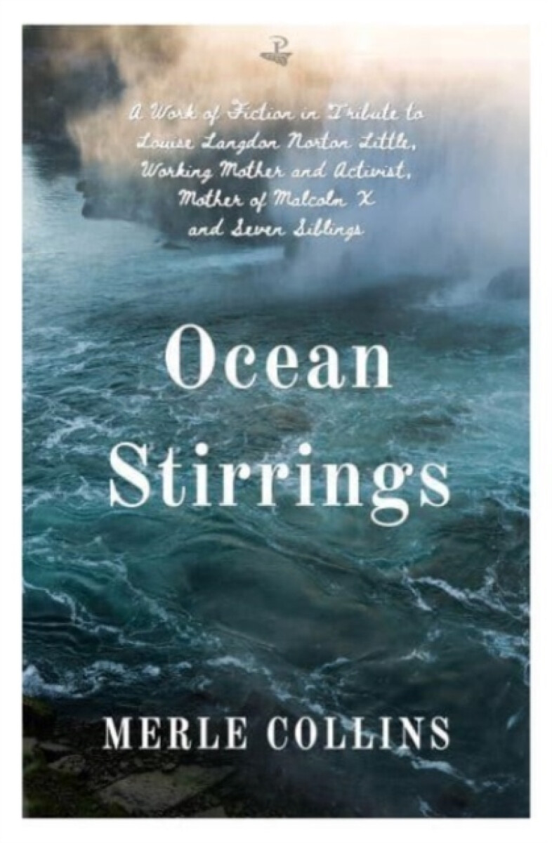 Kniha Ocean Stirrings