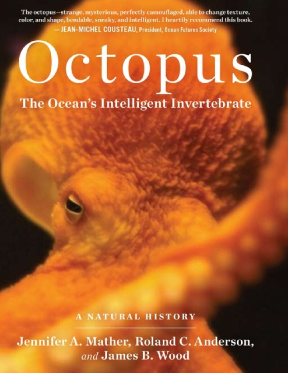 Kniha Octopus