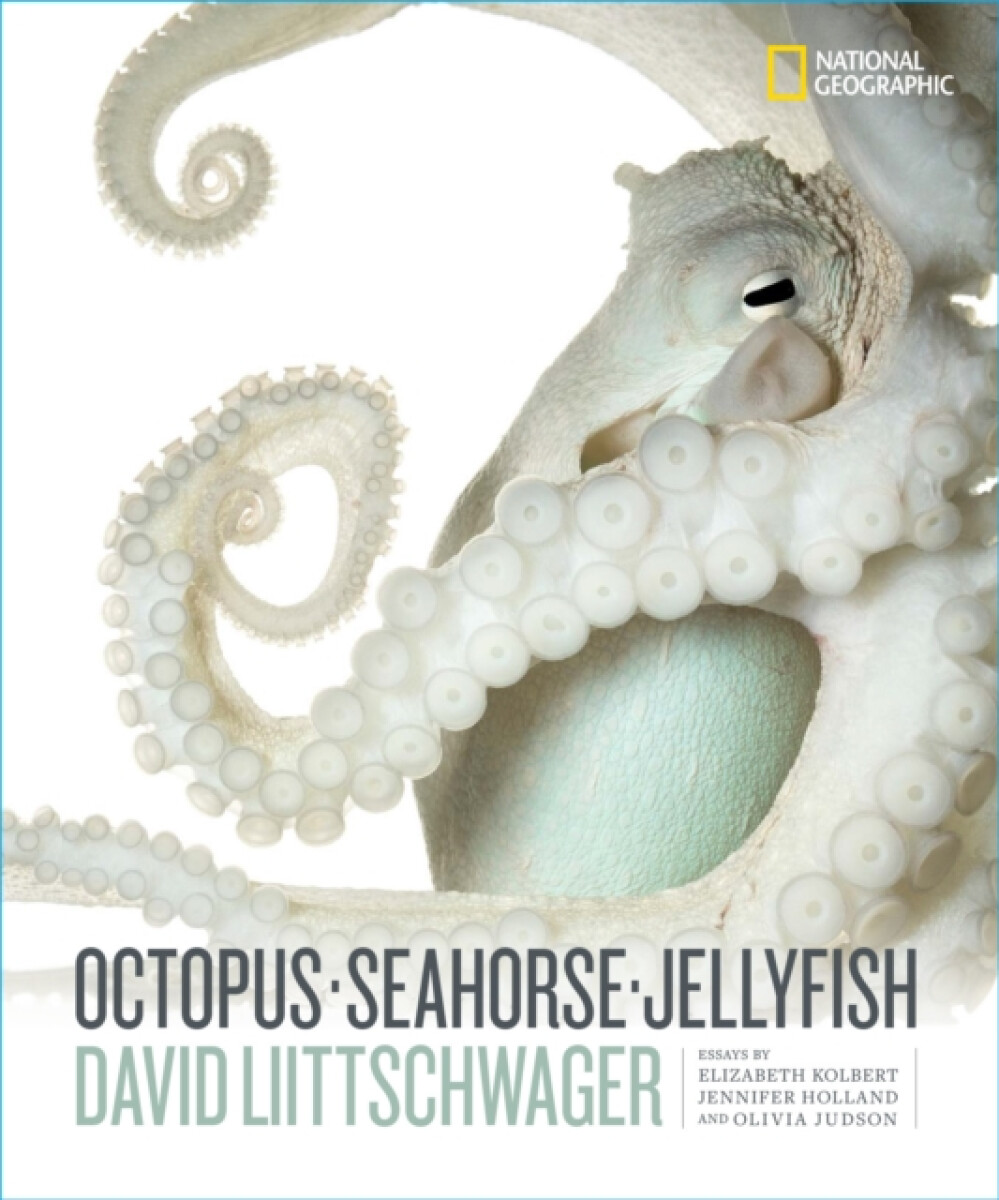 Kniha Octopus, Seahorse, Jellyfish