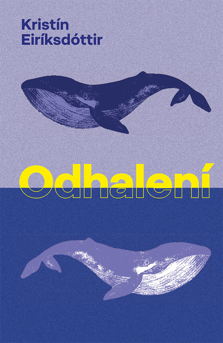 Levně Odhalení - Kristín Eiríksdóttir