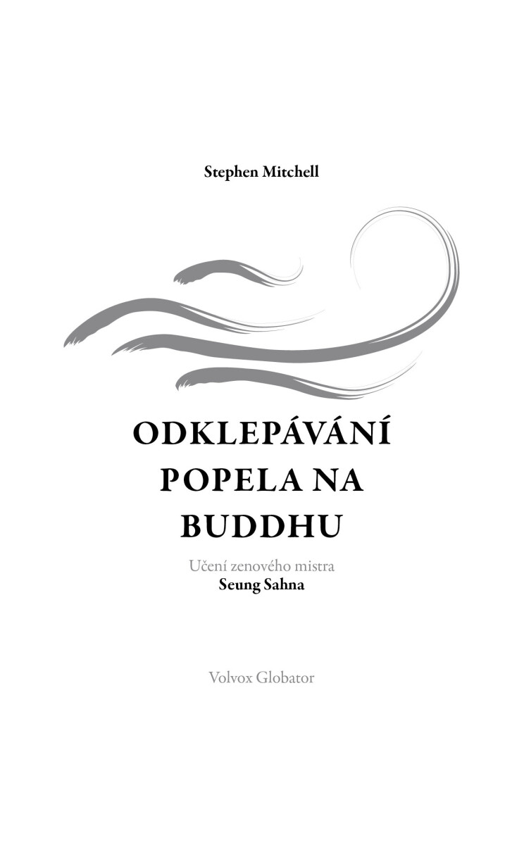 Odklepávání popela na Buddhu - Stephen Mitchellová