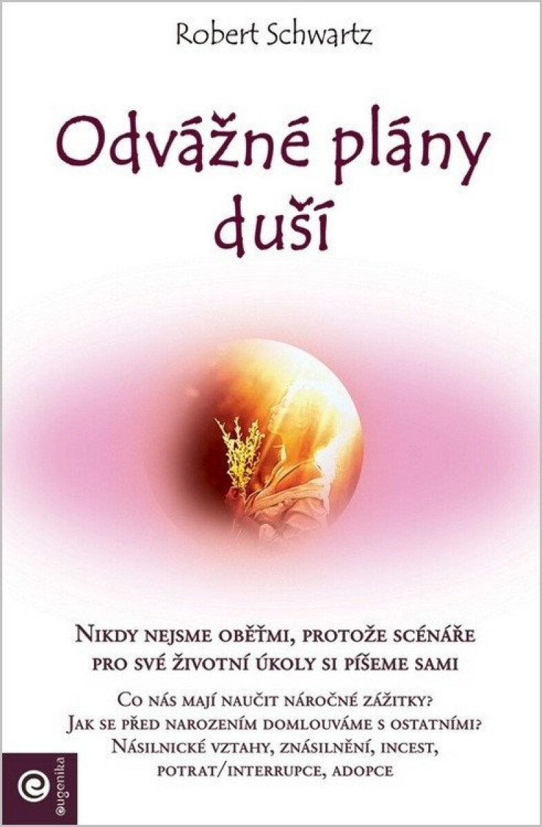Kniha Odvážné plány duší