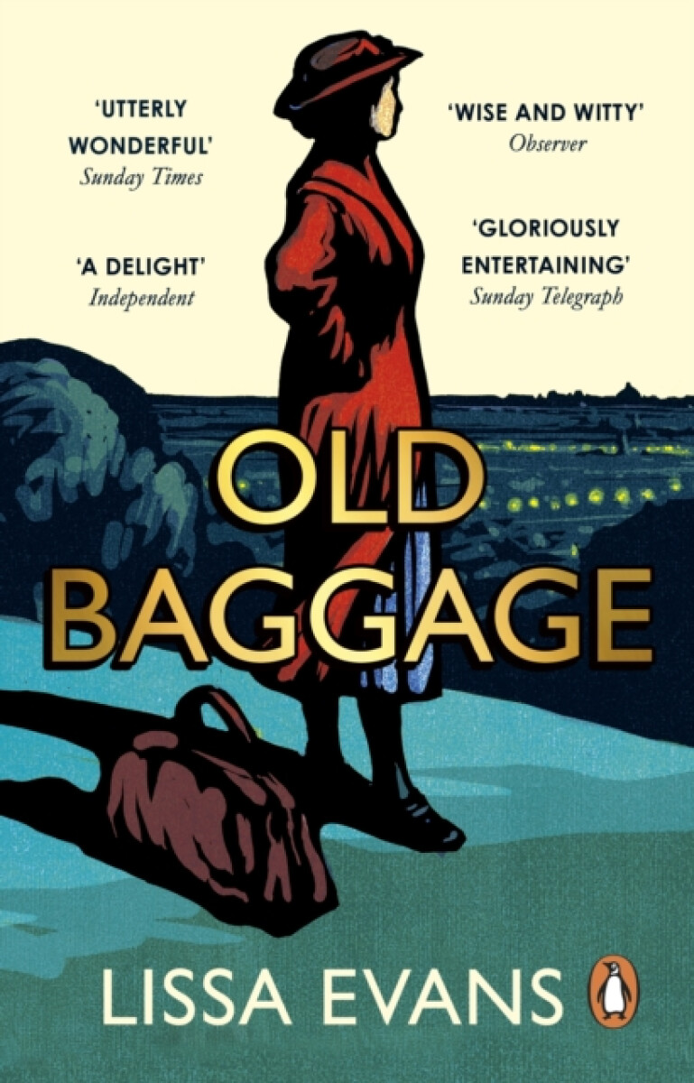 Kniha Old Baggage
