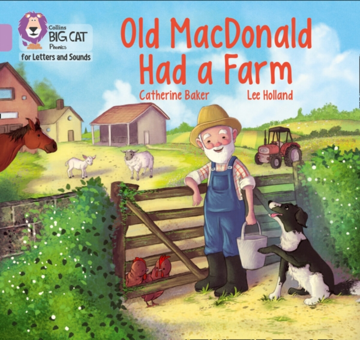 Kniha Old MacDonald had a Farm