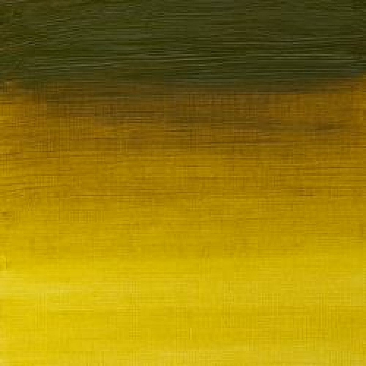 Olejová barva W&N Artists 37ml – 294 Green Gold