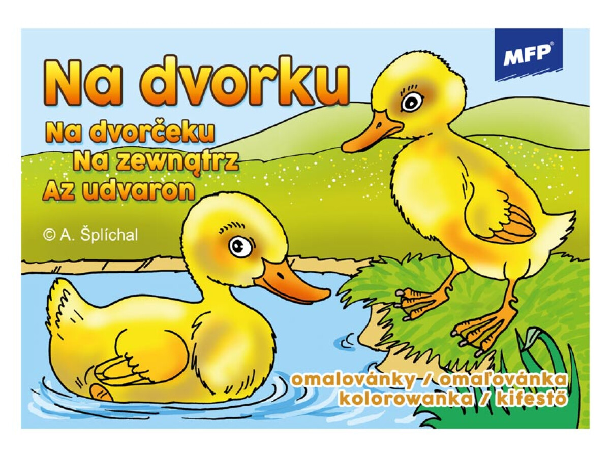Kniha Omalovánky