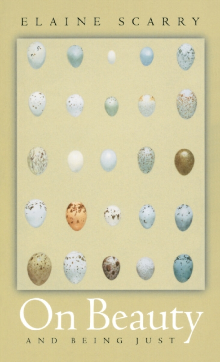 Kniha On Beauty and Being Just